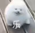 一场胶佬退坑、筹钱治病的骗局，硬是把奥迪双钻骗成了小丑