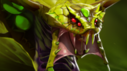 DOTA2客户端7.33b更新：幻影长矛手与SA被削弱(图26)