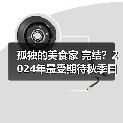 孤独的美食家 完结？2024年最受期待秋季日剧TOP10（图4）