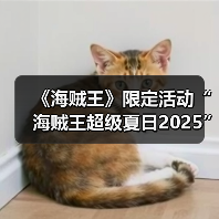 《海贼王》限定活动“海贼王超级夏日2025”推出！（图4）