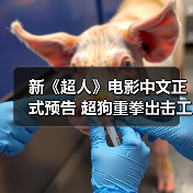 新《超人》电影中文正式预告 超狗重拳出击工程师（图2）