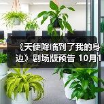 《天使降临到了我的身边》剧场版预告 10月14日上映（图2）