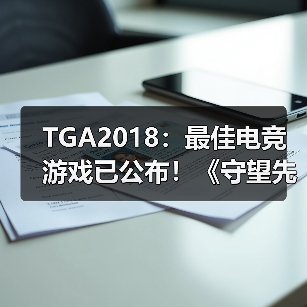 TGA2018：最佳电竞游戏已公布！《守望先锋》获胜！（图4）