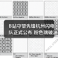 B站守望先锋杭州闪电队正式公布 粉色瑞破温斯顿登场（图4）