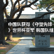 中国队获得《守望先锋》世界杯亚军 韩国队继续卫冕（图3）