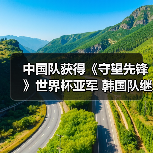 中国队获得《守望先锋》世界杯亚军 韩国队继续卫冕（图2）
