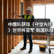 中国队获得《守望先锋》世界杯亚军 韩国队继续卫冕（图1）