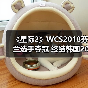 《星际2》WCS2018芬兰选手夺冠 终结韩国20年统治（图4）
