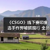 《CSGO》线下赛印度选手作弊被抓现行 全员遭开除（图2）