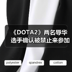 《DOTA2》两名辱华选手确认被禁止来参加中国比赛（图4）