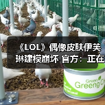 《LOL》偶像皮肤伊芙琳建模崩坏 官方：正在解决中（图1）