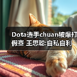 Dota选手chuan被爆打假赛 王思聪:自私自利满嘴谎言（图3）