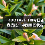 《DOTA2》TI8今日正赛战报：中国军团状况不容乐观（图4）