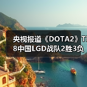 央视报道《DOTA2》Ti8中国LGD战队2胜3负获得亚军（图4）