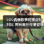 LOL偶像歌手阿狸皮肤对比 两种黑丝你更爱哪一款？