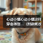 心动小镇心动小镇这样穿会得到…（附趣闻攻略）（图4）