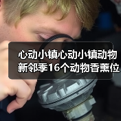 心动小镇心动小镇动物新邻季16个动物香薰位置全收集（图4）