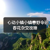 心动小镇小镇春野令迎春花杂交攻略（图3）