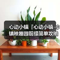 心动小镇『心动小镇-小镇稚趣园前提简单攻略』（图1）