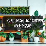 心动小镇小镇即将结束的4个活动（图2）