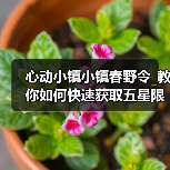 心动小镇小镇春野令_教你如何快速获取五星限定鱼！（图3）