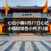 心动小镇8月21日心动小镇粉绿色小鸭子➕溜溜木➕萤石（图1）