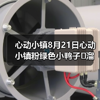 心动小镇8月21日心动小镇粉绿色小鸭子➕溜溜木➕萤石（图3）