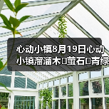 心动小镇8月19日心动小镇溜溜木➕萤石➕青绿色小鸭子（图2）