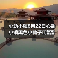 心动小镇8月22日心动小镇黑色小鸭子➕溜溜木➕萤石（图3）