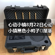 心动小镇8月22日心动小镇黑色小鸭子➕溜溜木➕萤石（图1）