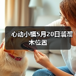 心动小镇5月20日溜溜木位置（图3）