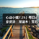 心动小镇7.25」每日必拿资源｜溜溜木｜萤石位置一览（图1）