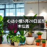 心动小镇5月20日溜溜木位置（图2）