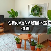 心动小镇8.6溜溜木萤石位置（图4）