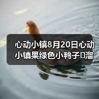 心动小镇8月20日心动小镇果绿色小鸭子➕溜溜木➕萤石（图2）