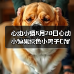 心动小镇8月20日心动小镇果绿色小鸭子➕溜溜木➕萤石（图4）