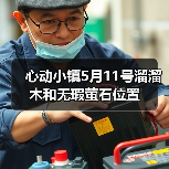 心动小镇5月11号溜溜木和无瑕萤石位置（图3）