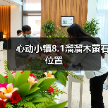 心动小镇8.1溜溜木萤石位置（图3）