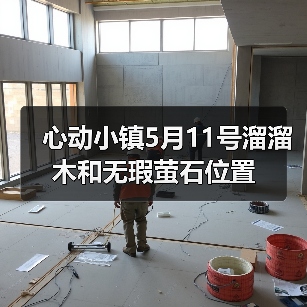 心动小镇5月11号溜溜木和无瑕萤石位置（图4）