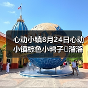 心动小镇8月24日心动小镇棕色小鸭子➕溜溜木➕萤石（图4）