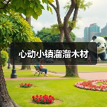 心动小镇溜溜木材（图1）
