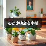 心动小镇溜溜木材（图4）