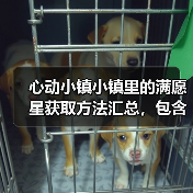 心动小镇小镇里的满愿星获取方法汇总，包含近期活动（图3）