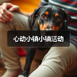 心动小镇小镇活动（图3）